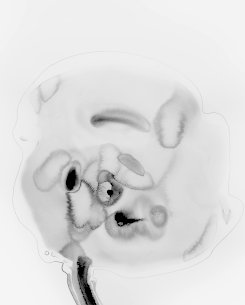 Comprar FLOR FANTASMA 1